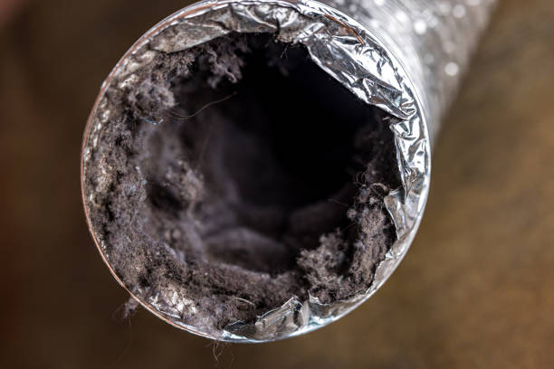 Best Local Air Duct Cleaning Services  in Sturgeon, MO