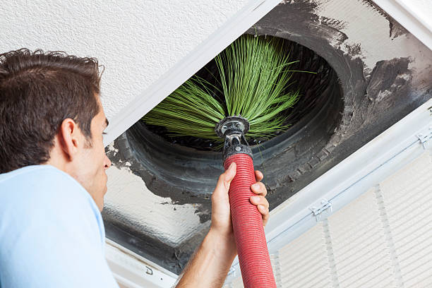 Best Duct Cleaning for Offices  in Sturgeon, MO