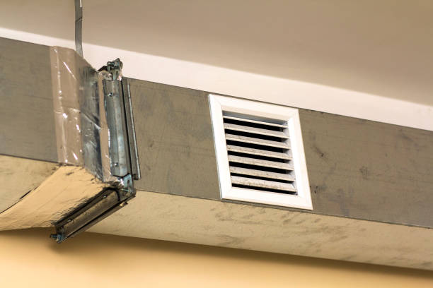 Best Professional Duct Cleaning Services  in Sturgeon, MO